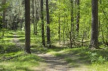 Однодневный водо-велопоход по Раифе и окрестностям