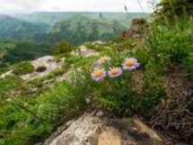 Плато Бермамыт — ощутить мощь Кавказа