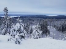 Сокровища Земли Карельской
