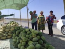 Перезагрузка в Заамине: гастрономический тур в мясной регион Узбекистана
