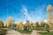 Про Абакан с любовью