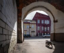 Захватывающий Нижний: от спиритических сеансов Даля до соляных афер