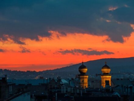 Евреи в Будапеште