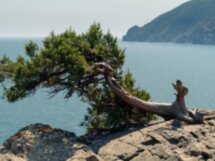 Треккинг к вершине Аю-Даг: туда, где цветут подснежники