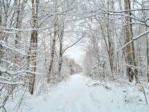 Покорить сопки Хабаровска