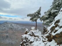 Покорить сопки Хабаровска