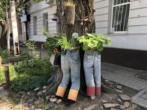 Квест «Загадки Симферополя»