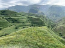На машине по Дагестану: Дербент, древние аулы и Сулакский каньон