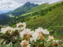 Треккинг к вершинам хребта Аибга