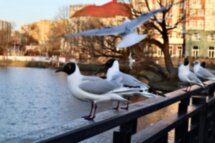 Европейские выходные на Балтийском побережье
