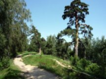 В древний Городец