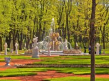 История и секреты петербуржских садов