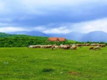 Габала: путешествие в азербайджанскую Швейцарию