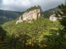 Ущелье Уч-Кош — треккинг с дыхательными практиками