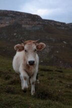 Кавказ с восточной перчинкой: трип из Махачкалы в Дербент