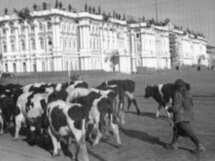 Как Ленинград жил во время блокады