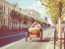 Казанское котопутешествие
