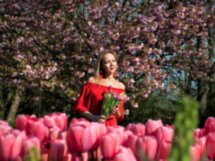 Фото-экскурсия по парку Кёкенхоф