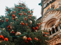 С Рождеством, Берлин!