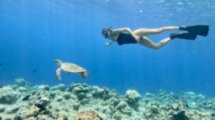 Приключения на Мальдивах: плавание с акулами и скатами, квесты и отдых на острове-резорте