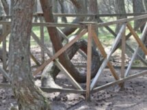 Природное и историческое богатство Куршской косы