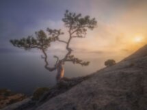 Фотопутешествие из Феодосии в Новый Свет