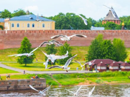 Аз есмь царь! Иван Грозный и Новгород