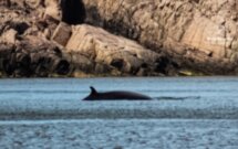 Приключения в Заполярье: этнодеревня, квадросафари и морская прогулка