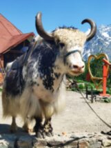 Курорты КМВ, Приэльбрусье и Домбай