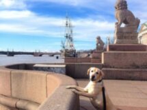 Автомобильное путешествие по Санкт-Петербургу
