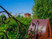 Тайны дворца Ольденбургских