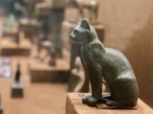 Звери в Эрмитаже: авторская экскурсия