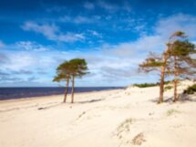 Из Архангельска — к Северодвинску и Белому морю