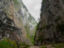Из Пицунды на озеро Рица — групповая экскурсия