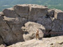 Поход по заповедному лесу — к горам Индюк