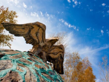 Дикая красота Байкала