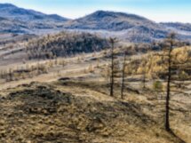 Дикая красота Байкала