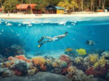Лодочный трип со снорклингом и остановкой на Pig Island