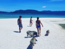 Лодочный трип со снорклингом и остановкой на Pig Island