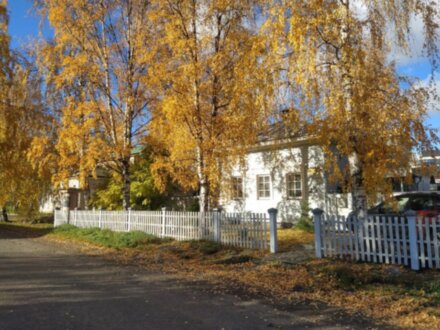 Петрозаводск в трех веках