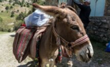 Таджикистан и Узбекистан: природа, культура и история