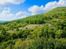 Мегалиты, спрятанные на горе Нексис в Геленджике