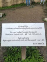 4 в 1: оленья ферма, петроглифы, канатная дорога Чиноркент и Бочки
