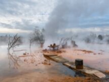Групповая экскурсия к термальным источникам Абхазии