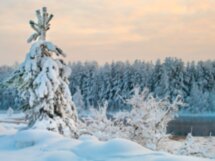 Треккинг по зимней Карелии: финский бункер и тропы лешего Хийси