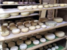Новогодняя экскурсия в Клин для всей семьи