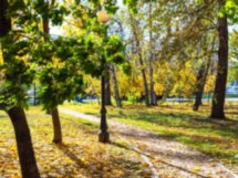 Прошлое на ладони. Дачные истории Петровского парка