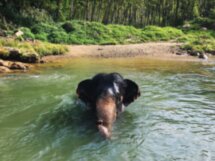 Эко-тур в питомник слонов и к водопаду Хуай То