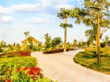В мире животных: Dubai Safari Park и The Green Planet