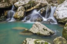 Тисо-самшитовая роща и лёгкий треккинг по Агурскому ущелью к водопадам